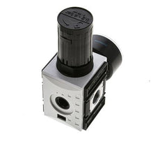 Regulateur de pression pour assemblage de collecteur G1/4''&3/8'' 2500l/min 0.2-4.0bar/3-58psi PA Futura 1