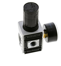 Regulateur de pression pour assemblage de collecteur G1/4''&3/8'' 2500l/min 0.5-16.0bar/7-232psi PA Futura 1