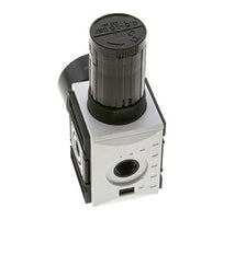Regulateur de pression pour assemblage de collecteur G1/4'' 2000l/min 0.5-16.0bar/7-232psi PA Futura 1