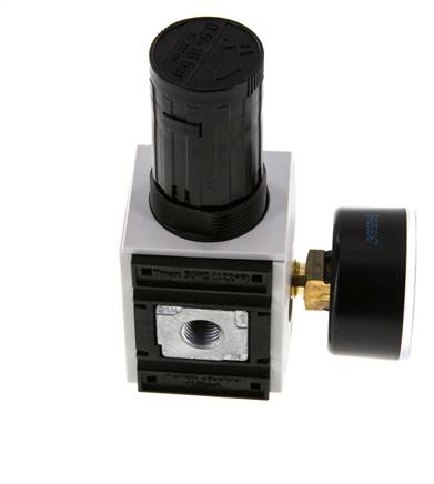 Régulateur de pression G1/4'' 2000l/min 0.5-16.0bar/7-232psi PA Futura 1