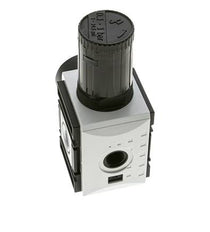 Régulateur de pression de précision pour assemblage de collecteur G3/8'' 4500l/min 0.1-1.0bar/1-14psi PA Futura 2