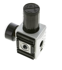Régulateur de Pression de Précision pour Assemblage de Collecteur G3/8'' 4500l/min 0.5-16.0bar/7-232psi PA Futura 2