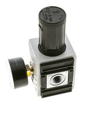 Régulateur de pression de précision pour assemblage de collecteur G3/8'' 4500l/min 0.5-8.0bar/7-116psi PA Futura 2