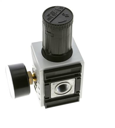 Régulateur de Pression de Précision pour Assemblage de Collecteur G3/8'' 4500l/min 0.5-16.0bar/7-232psi PA Futura 2