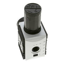 Régulateur de pression de précision pour assemblage de collecteur G3/8'' 4500l/min 0.5-10.0bar/7-145psi PA Futura 2