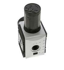 Regulateur de pression pour assemblage de collecteur G1/2''&3/8'' 5200l/min 0.2-4.0bar/3-58psi PA Futura 2
