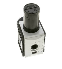 Regulateur de pression pour assemblage de collecteur G1/2''&3/8'' 5200l/min 0.5-16.0bar/7-232psi PA Futura 2