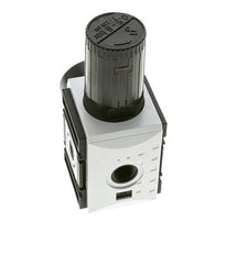 Regulateur de pression pour assemblage de collecteur G3/8'' 4500l/min 0.5-8.0bar/7-116psi PA Futura 2