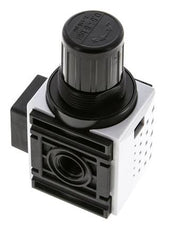 Régulateur de pression pour assemblage de collecteur G1/4'' 1000l/min 0.5-8.0bar/7-116psi PA Futura 0
