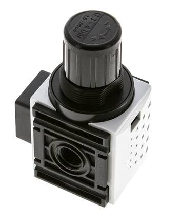 Régulateur de pression pour assemblage de collecteur G1/4'' 1000l/min 0.2-4.0bar/3-58psi PA Futura 0