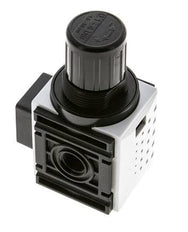 Régulateur de pression pour assemblage de collecteur G1/4'' 1000l/min 0.2-4.0bar/3-58psi PA Futura 0