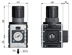 Régulateur de pression pour assemblage de collecteur G1/4'' 1000l/min 0.5-10.0bar/7-145psi Manomètre 40 mm Futura 0