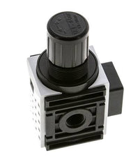 Régulateur de pression pour assemblage de collecteur G1/4'' 1000l/min 0.2-4.0bar/3-58psi PA Futura 0