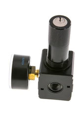 Régulateur de pression G1/4'' 2100l/min 0.5-16.0bar/7-232psi Corps en zinc moulé sous pression Verrouillage du cylindre Multifix 1