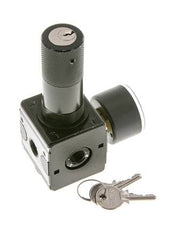 Régulateur de pression pour assemblage de collecteur G1/4'' 2250l/min 0.5-16.0bar/7-232psi en fonte de zinc 40 mm Manomètre Multifix 1