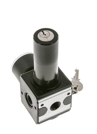 Régulateur de pression pour assemblage de collecteur G1/4'' 2250l/min 0.2-6.0bar/3-87psi en fonte de zinc 40 mm Manomètre Multifix 1