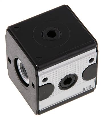 Distributeur G1/4 2500 l/min Multifix 1