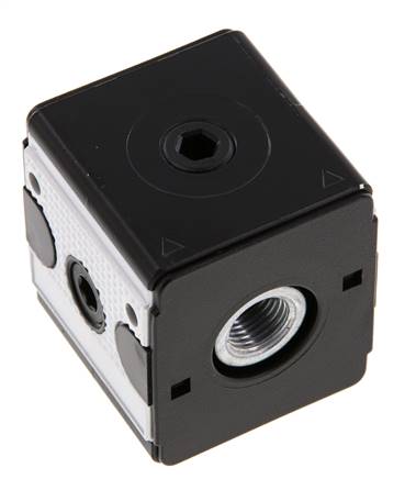 Distributeur G1/4 2500 l/min Multifix 1