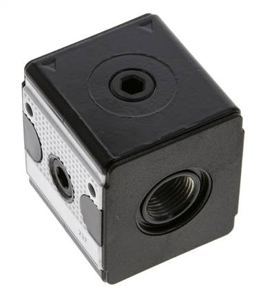 Distributeur G3/8 700 l/min avec clapet anti-retour Multifix 1