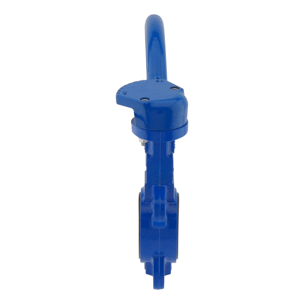 DN80 (3 inch) PN10 Wafer Butterfly Valve GGG40-Stainless steel-PTFE/Silicone