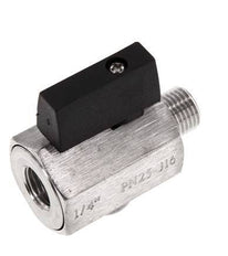 Mâle vers femelle G 1/4 pouce 2 voies mini vanne à bille en acier inoxydable 25 Bar
