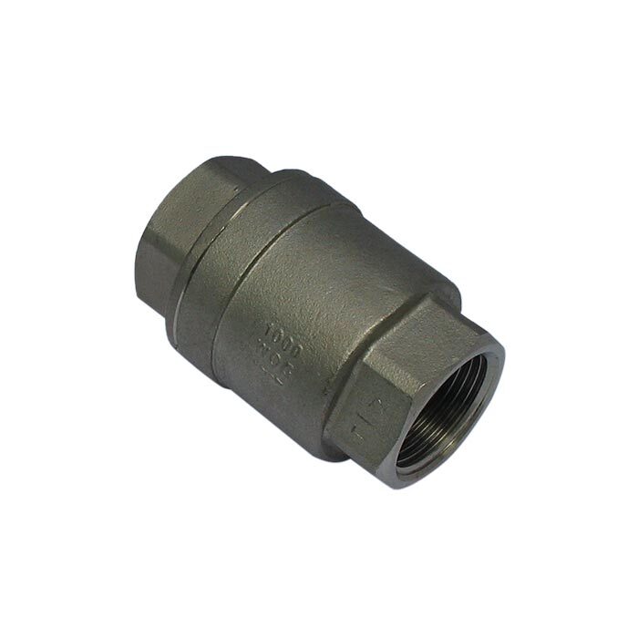 655 - G1-1/4'' Check Valve Stainless Steel PTFE F/F 64bar