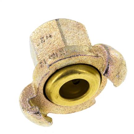 Fonte DN 17 DIN 3489 Accouplement à griffes Rp 1/2'' Femelle