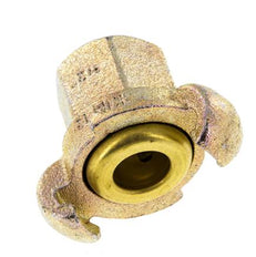 Fonte DN 17 DIN 3489 Accouplement à griffes Rp 1/2'' Femelle