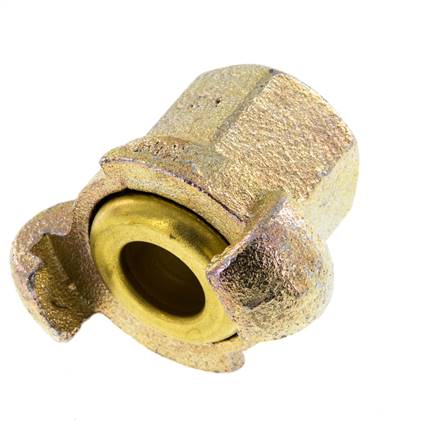 Fonte DN 17 DIN 3489 Accouplement à griffes Rp 1/2'' Femelle