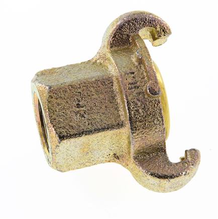 Fonte DN 17 DIN 3489 Accouplement à griffes Rp 1/2'' Femelle