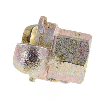 Fonte DN 17 DIN 3489 Accouplement à griffes Rp 3/4'' femelle