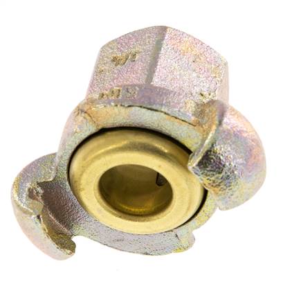 Fonte DN 17 DIN 3489 Accouplement à griffes Rp 3/4'' femelle