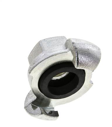 Fonte DN 19 DIN 3489 Accouplement à griffes Rp 1/2'' femelle