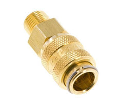 Brass DN 5 Air Coupling Socket 1/8 inch Male NPT
