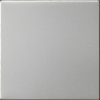 Gira System 55 Stainless Steel Unprinted Rocker Switch - 5372600