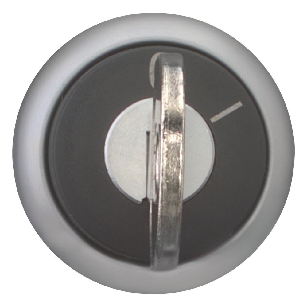 EATON INDUSTRIES RMQ-Titan Selector Switch Front Element - 216887