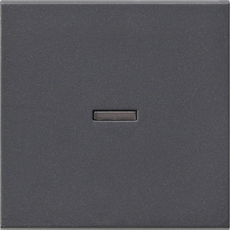 Gira System 55 Elément de commande/appareil de commutation à Plaque centrale - 029028