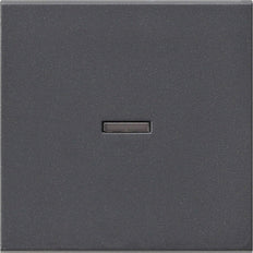 Gira System 55 Elément de commande/appareil de commutation à Plaque centrale - 029028