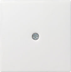Insert D'appareillage Gira System 55 - 027427