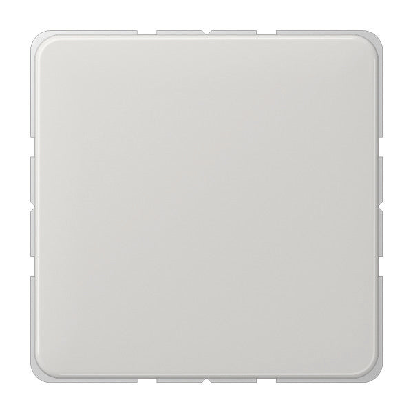 Jung CD500 - Élément de commande/appareil de commutation à Plaque centrale - CD594-0LG