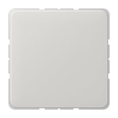 Jung CD500 - Élément de commande/appareil de commutation à Plaque centrale - CD594-0LG