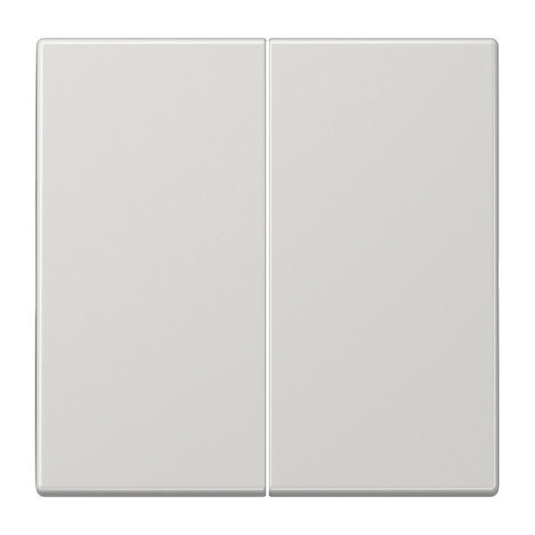 Jung LS990 - Élément de commande/appareil de commutation à Plaque centrale - LS995LG