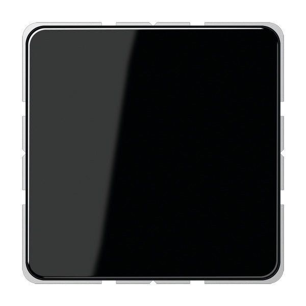 Jung CD500 - Élément de commande/appareil de commutation à Plaque centrale - CD594-0SW