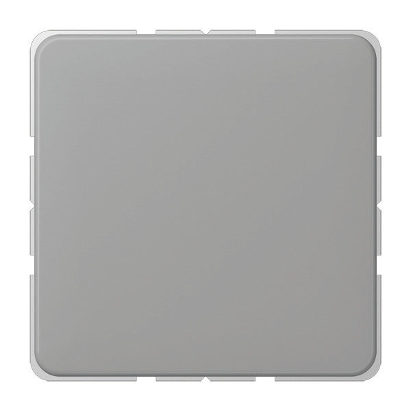 Jung CD500 - Élément de commande/appareil de commutation à Plaque centrale - CD594-OGR