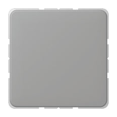 Jung CD500 - Élément de commande/appareil de commutation à Plaque centrale - CD594-OGR