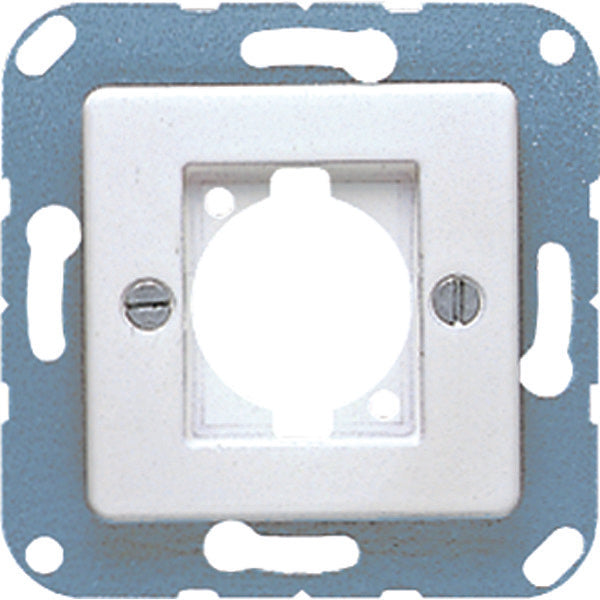 Jung 50x50mm Plaque D'insertion Commutateur - 168-1WW