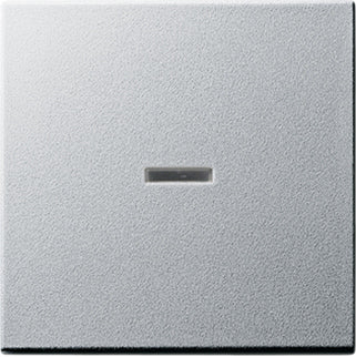 Gira System 55 Elément de commande/appareil de commutation à Plaque centrale - 029026
