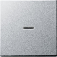 Gira System 55 Elément de commande/appareil de commutation à Plaque centrale - 029026