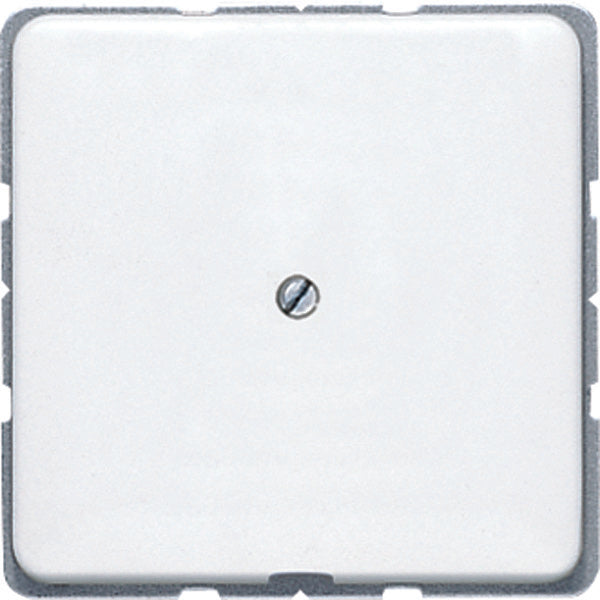 Jung CD500 Plaque D'insertion Commutateur - CD590AWW
