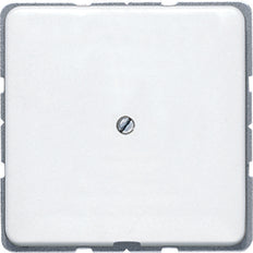 Jung CD500 Plaque D'insertion Commutateur - CD590AWW